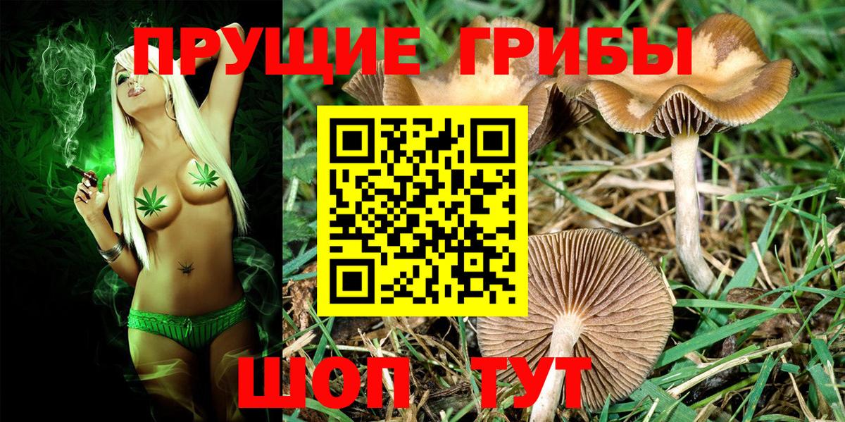 Псилоцибиновые грибы MAGIC MUSHROOMS Кострома