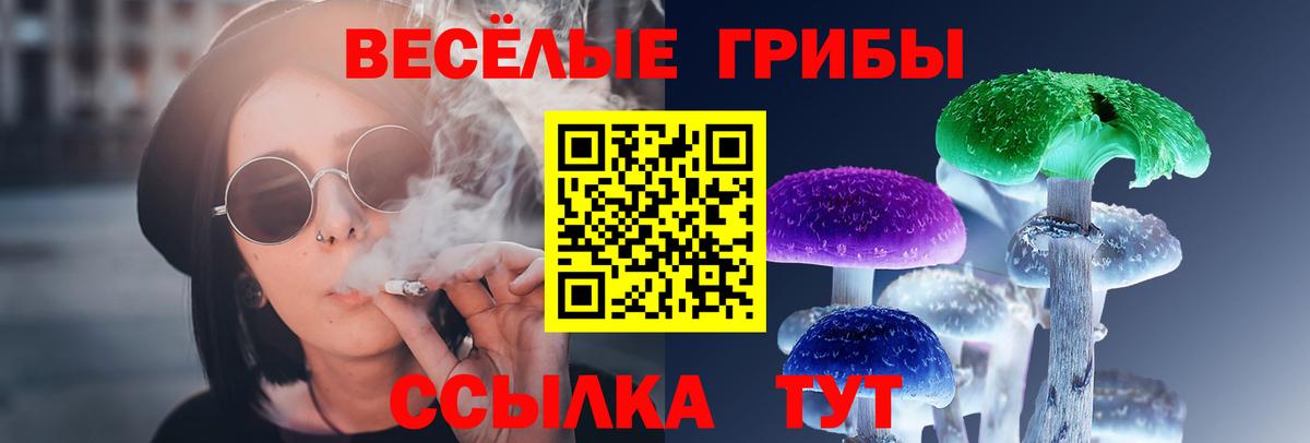 Галлюциногенные грибы GOLDEN TEACHER  Галлюциногенные грибы GOLDEN TEACHER  Кострома  Вход с VPN 